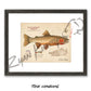 Cutthroat Trout Fine Art Print - Sketch Paper Print