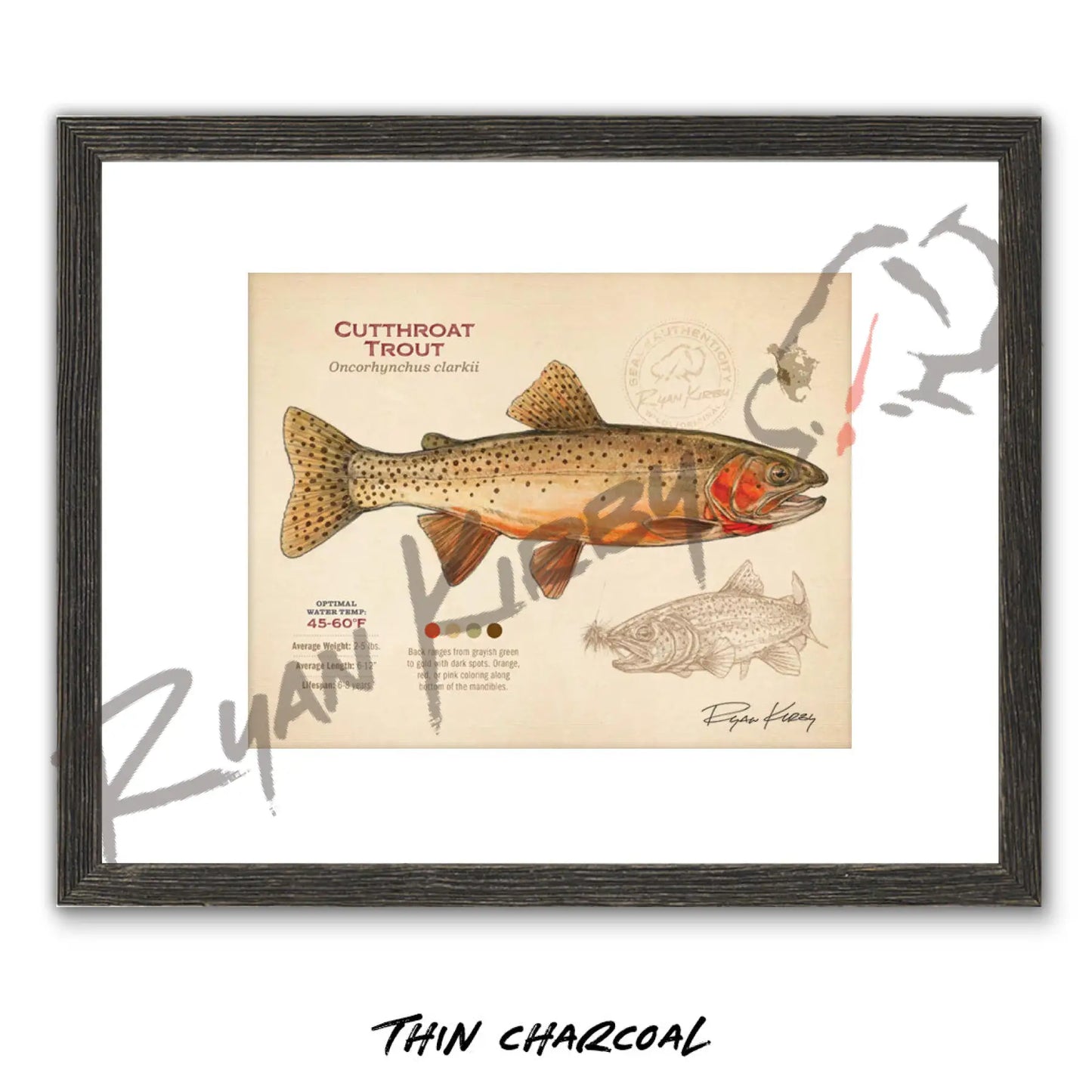 Cutthroat Trout Fine Art Print - Sketch Paper Print
