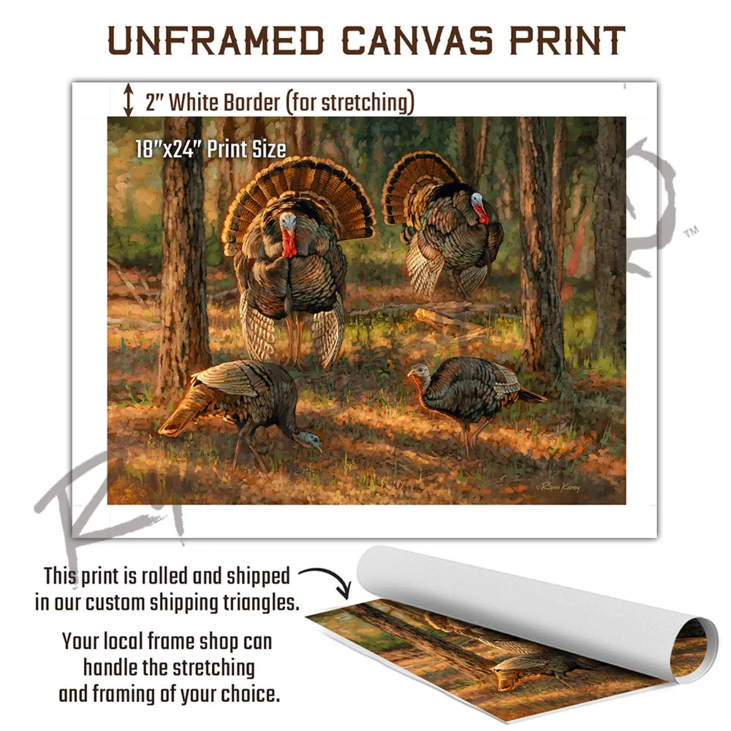 ’Dance Card’ Wild Turkey Canvas Art Print Canvas Print