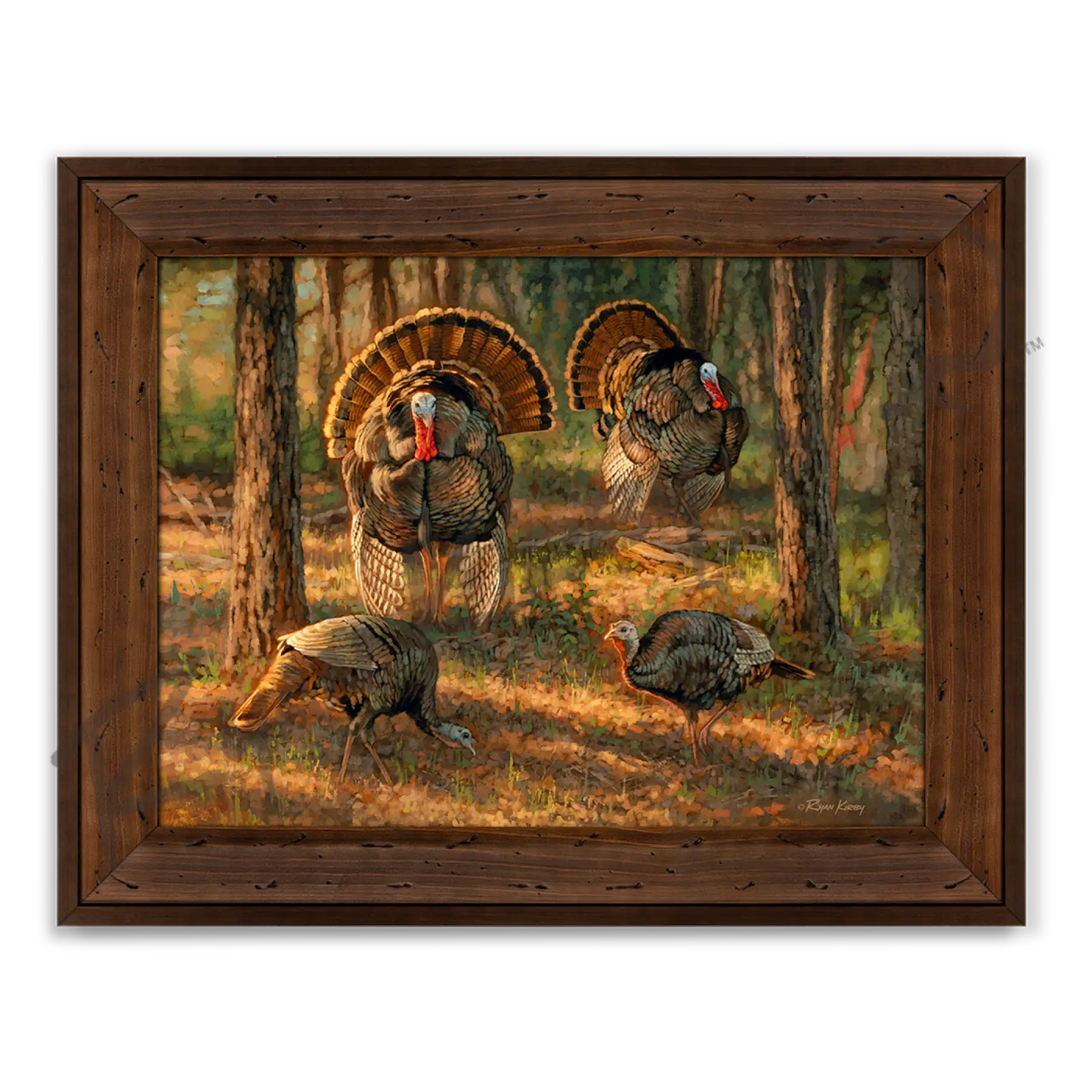 ’Dance Card’ Wild Turkey Canvas Art Print Reclaimed Chestnut Canvas Print