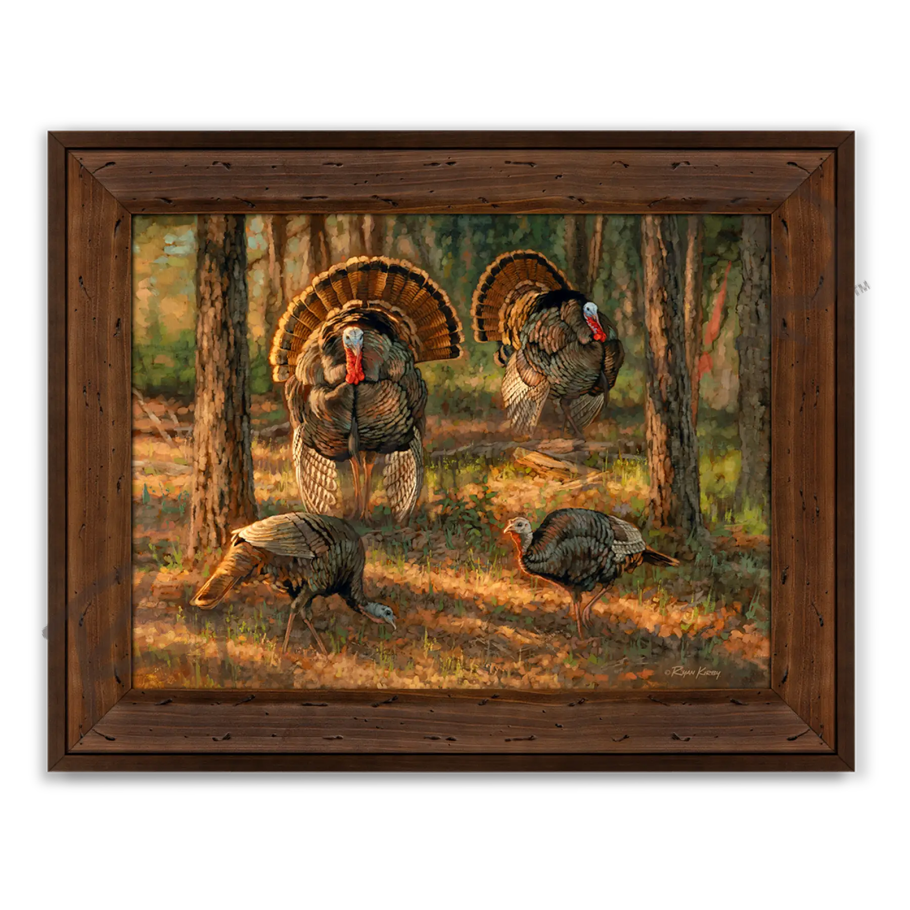 ’Dance Card’ Wild Turkey Canvas Art Print Reclaimed Chestnut Canvas Print