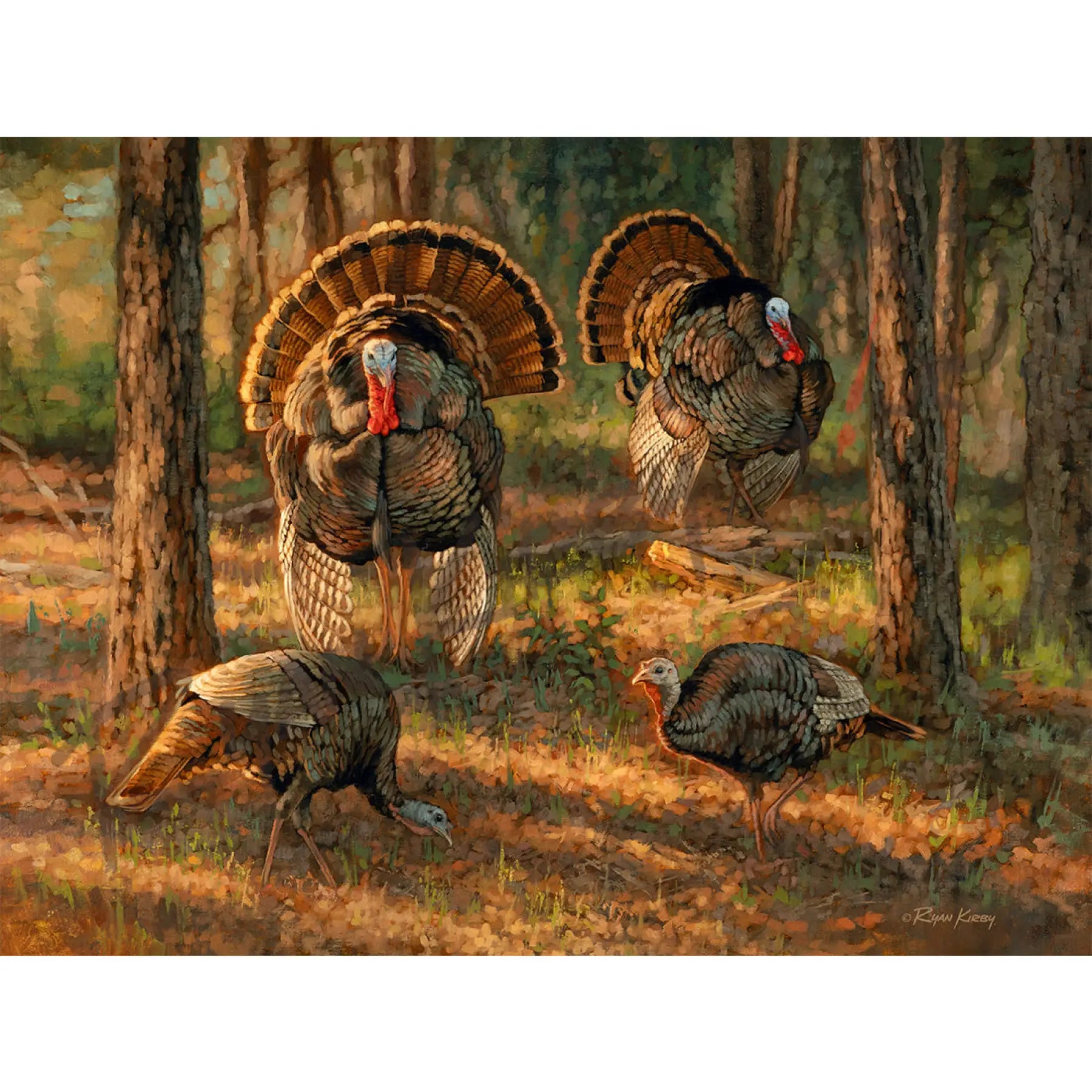 ’Dance Card’ Wild Turkey Canvas Art Print Unframed, Rolled Canvas Canvas Print