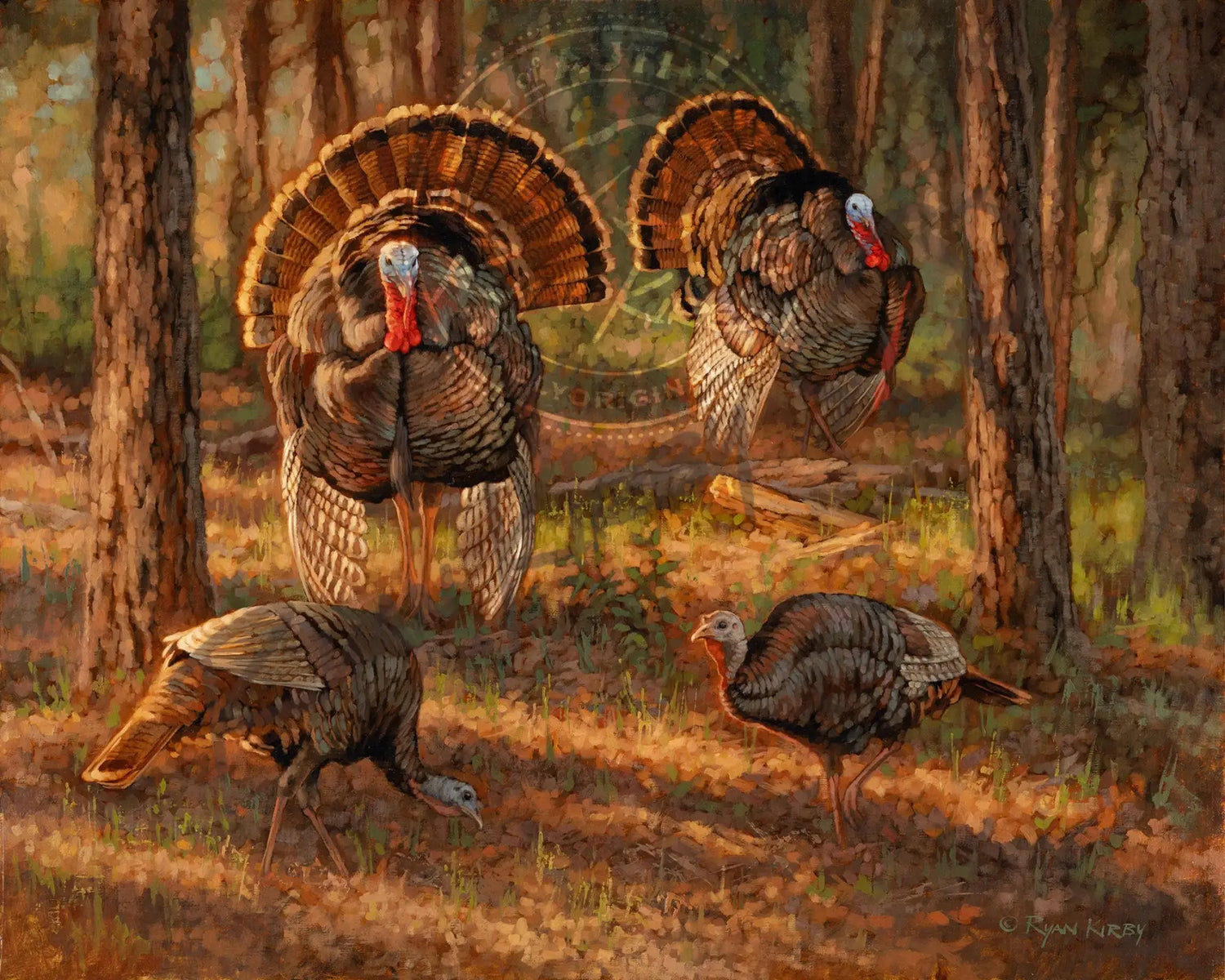 Original Oil Wildlife Paintings