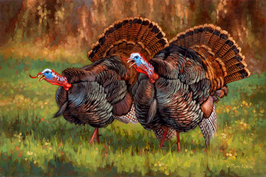 ’Deuces Wild’ Original Oil Painting of Gobbling Wild Turkeys - Original Oil Painting