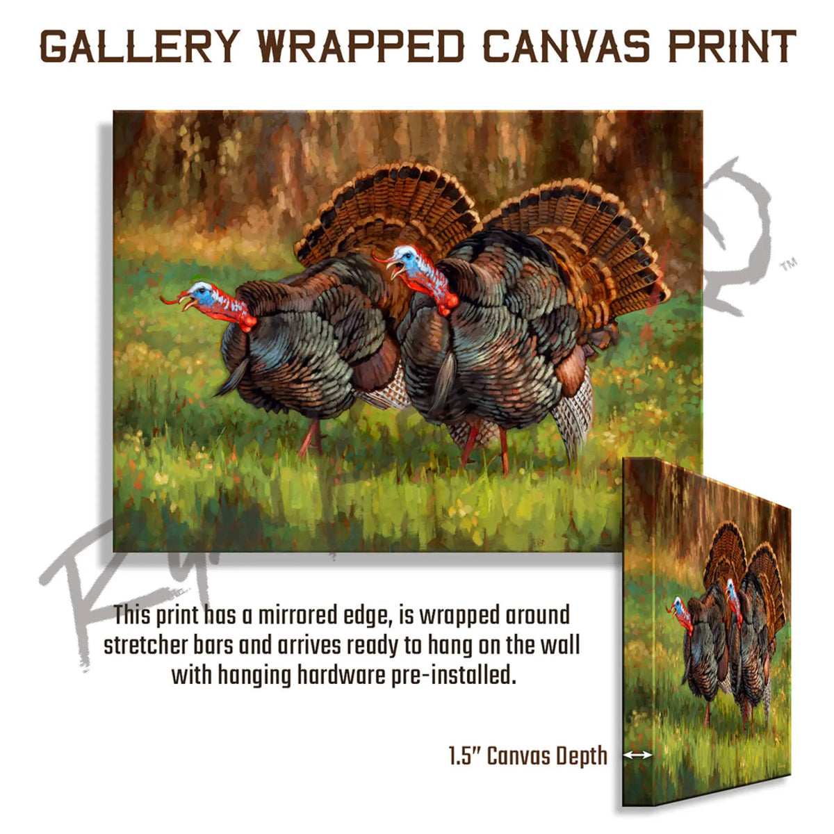 ’Deuces Wild’ Wild Turkey Canvas Art Print - Gallery Wrapped - Canvas Print
