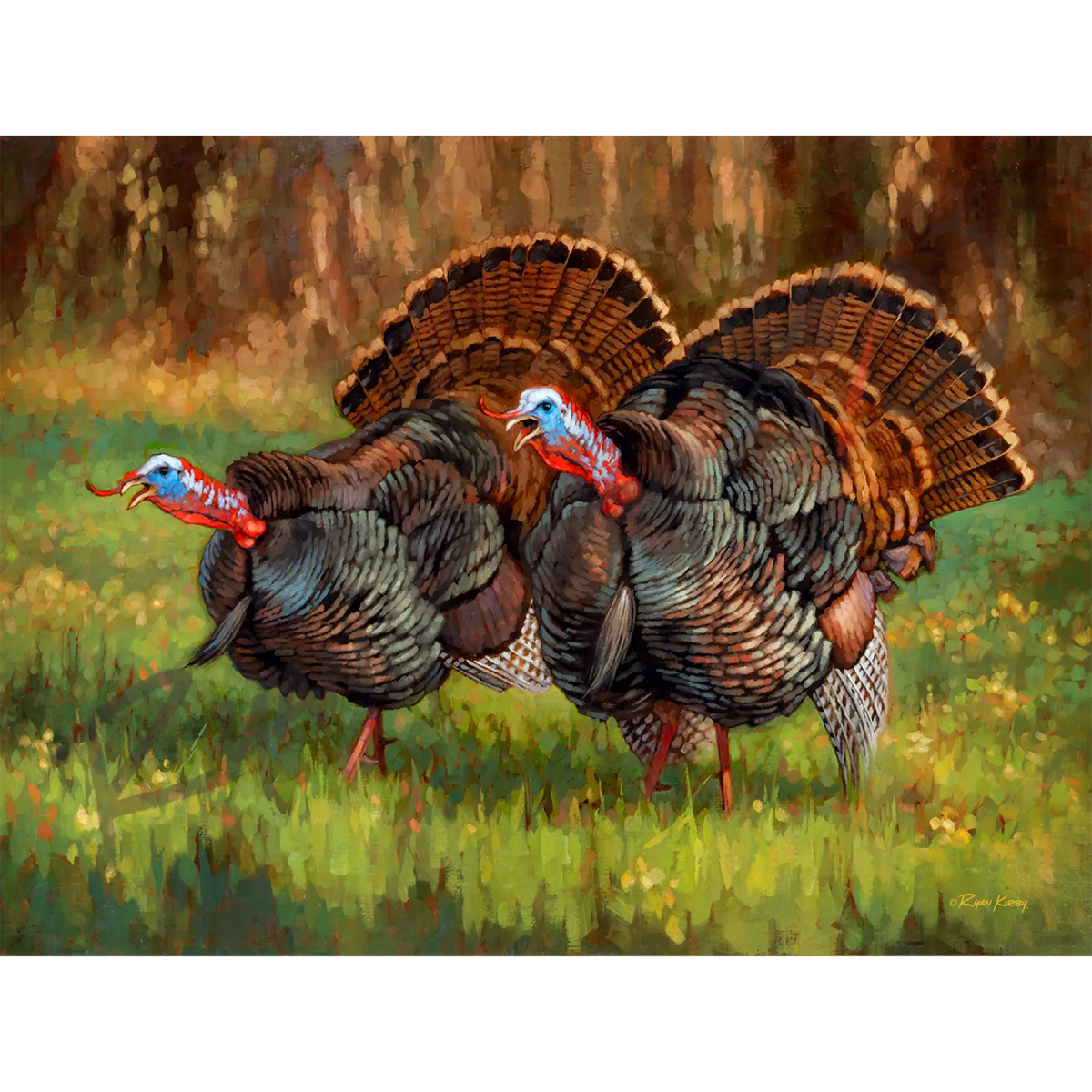’Deuces Wild’ Wild Turkey Canvas Art Print - Unframed, Rolled Canvas - Canvas Print