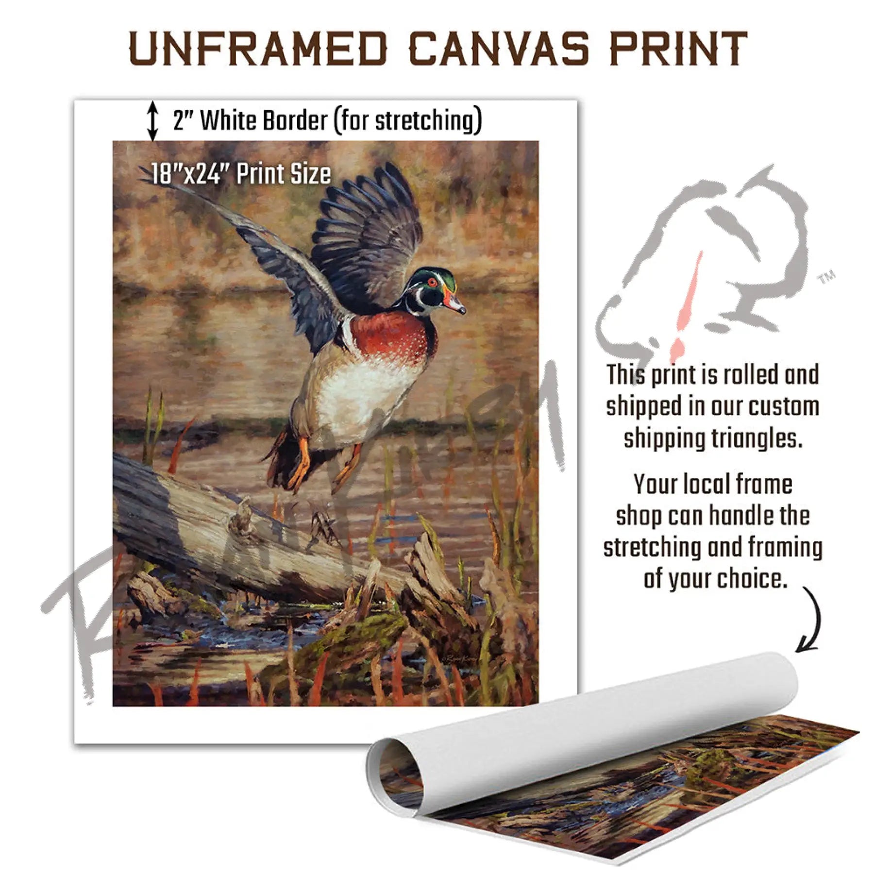 ’Driftwood Drake’ Wood Duck Canvas Print Canvas Print