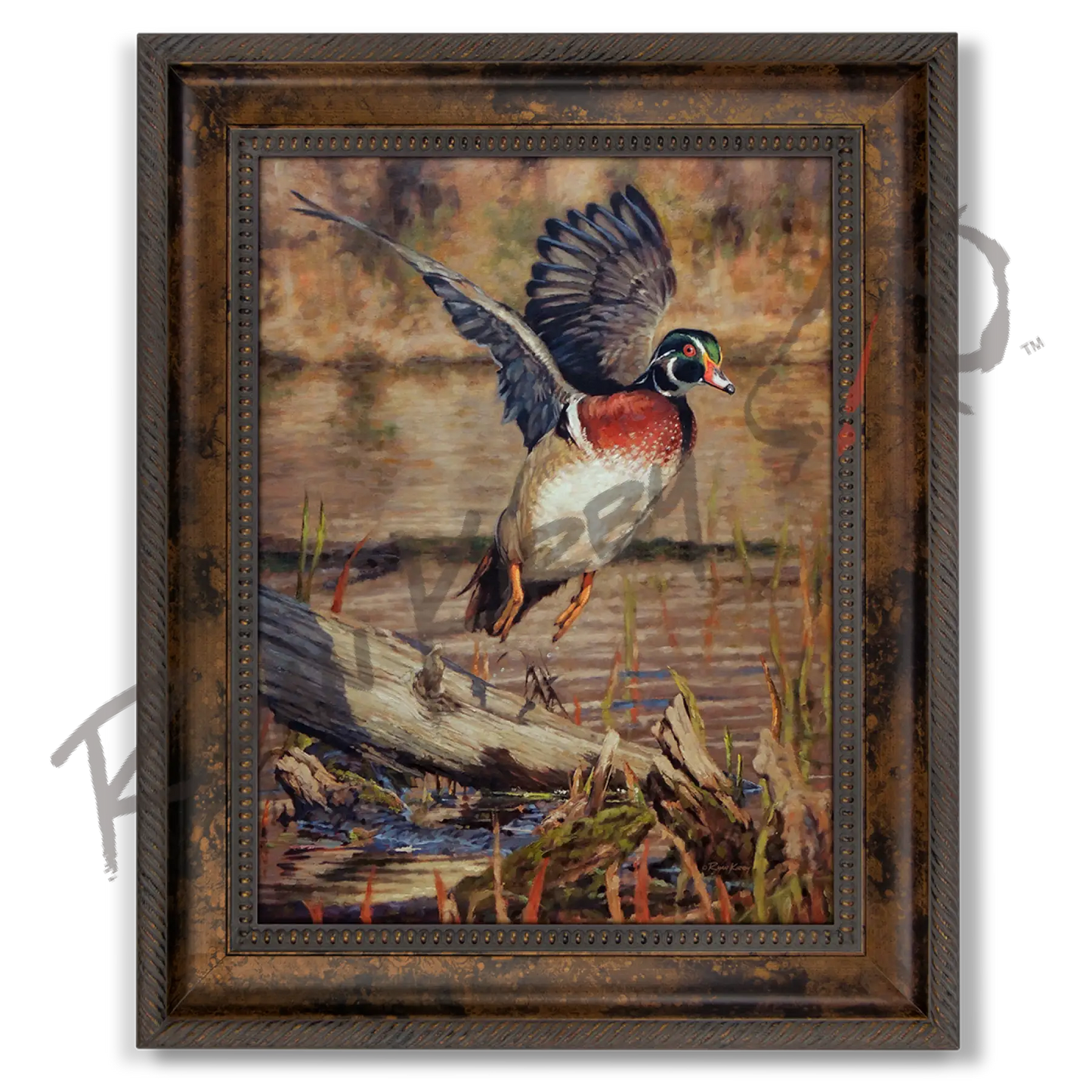’Driftwood Drake’ Wood Duck Canvas Print Classic Bronze Canvas Print