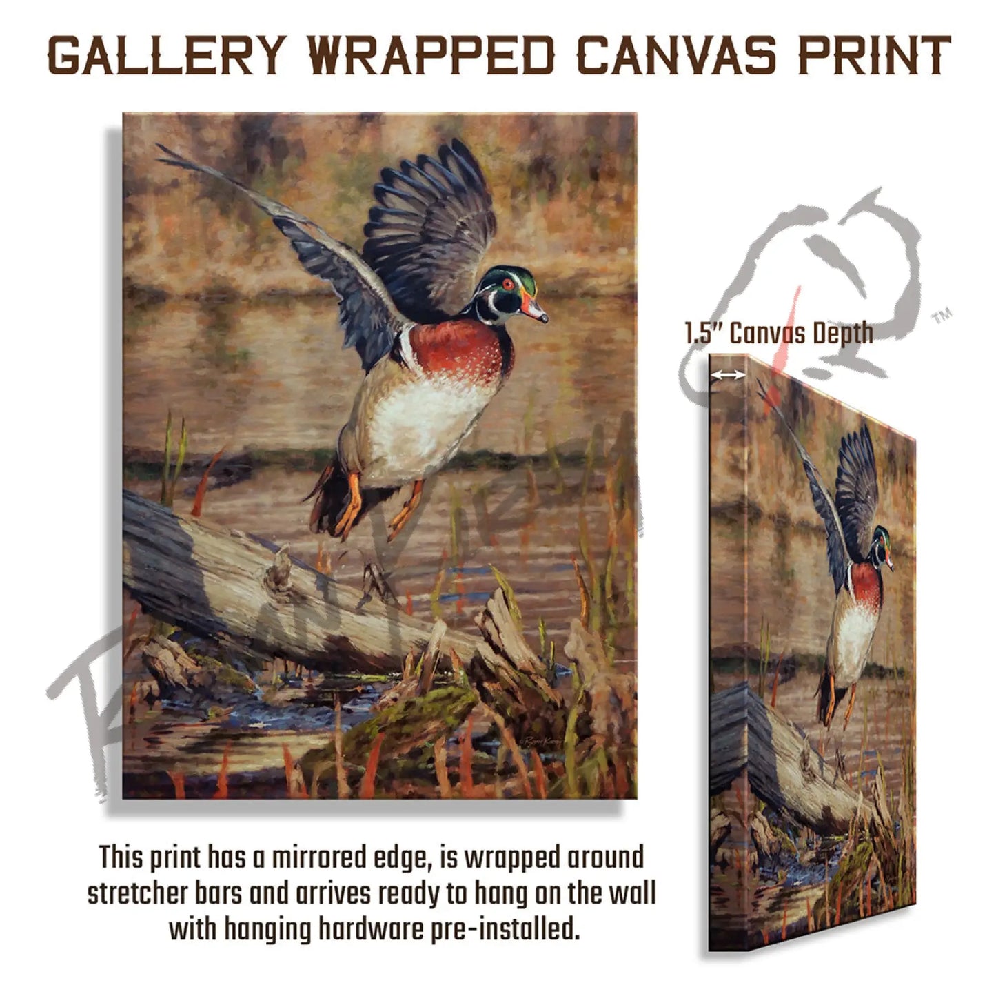 ’Driftwood Drake’ Wood Duck Canvas Print Gallery Wrapped Canvas Print