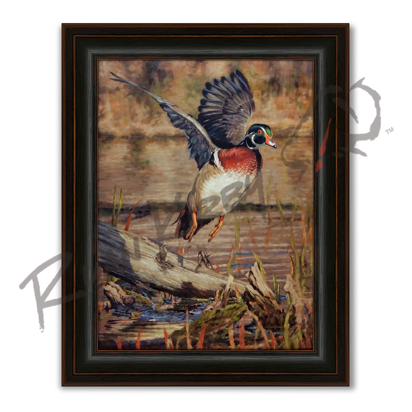 ’Driftwood Drake’ Wood Duck Canvas Print - Midnight Oak - Canvas Print