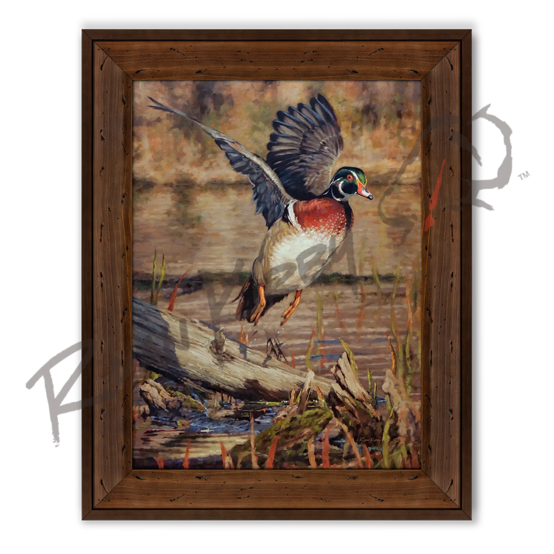 ’Driftwood Drake’ Wood Duck Canvas Print Reclaimed Chestnut Canvas Print