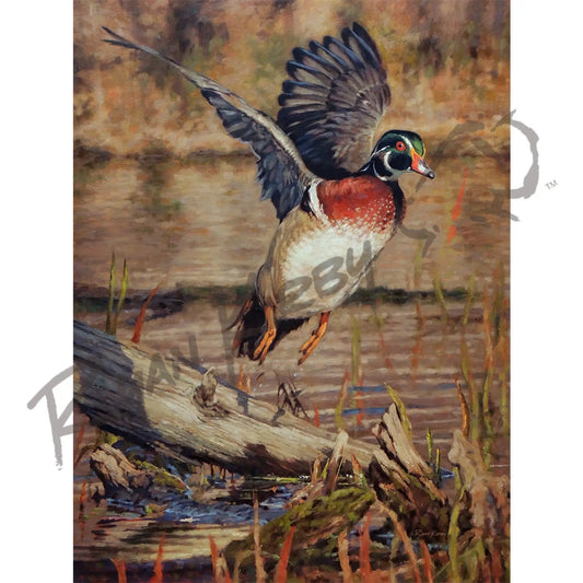 ’Driftwood Drake’ Wood Duck Canvas Print Unframed, Rolled Canvas Canvas Print