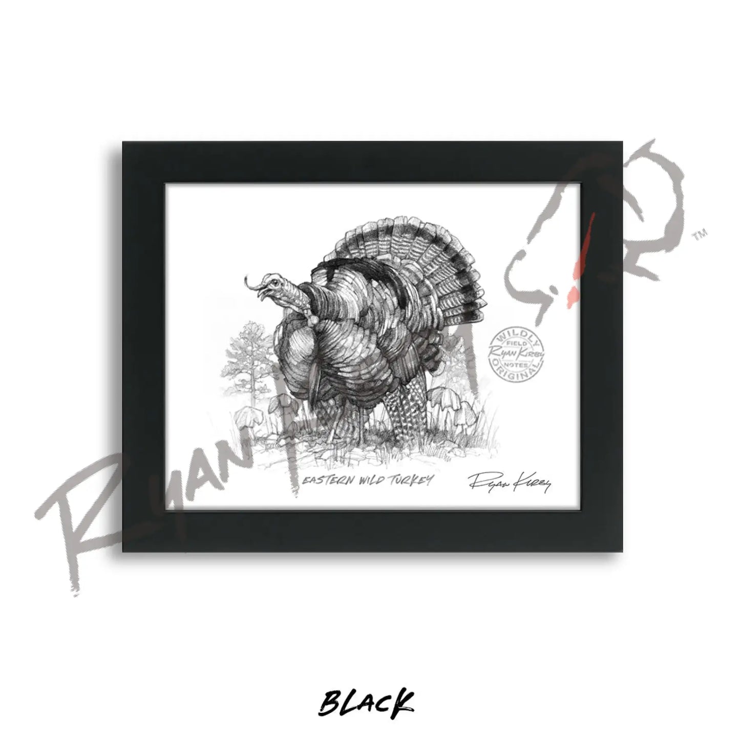 Eastern Wild Turkey Sketch Print Sketch Paper Print