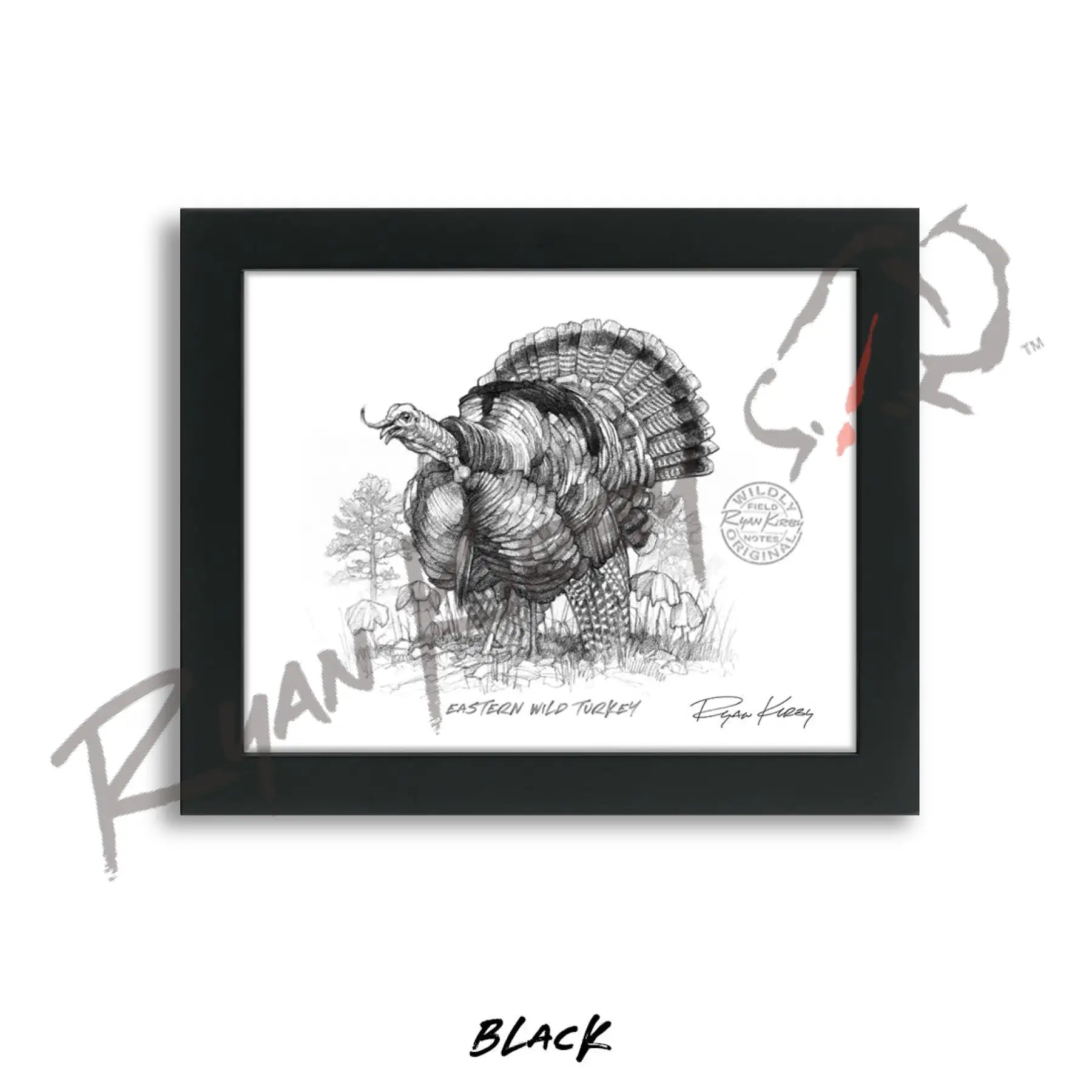 Eastern Wild Turkey Sketch Print Sketch Paper Print