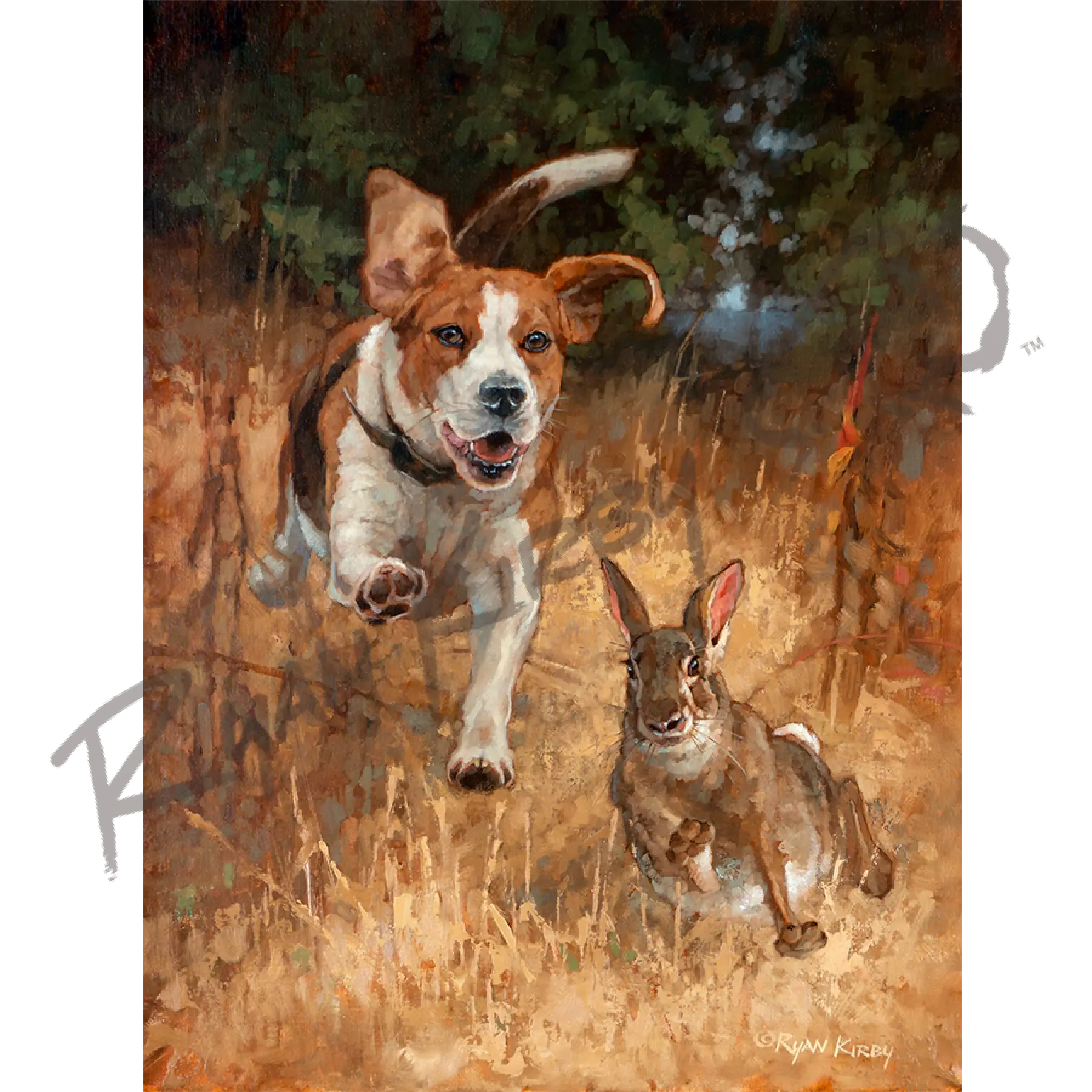 "Fair Chase" Beagle Hunting Rabbit Canvas Art Print