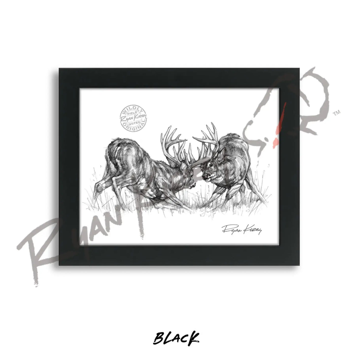 Fighting White-tailed Bucks Sketch Print Sketch Paper Print