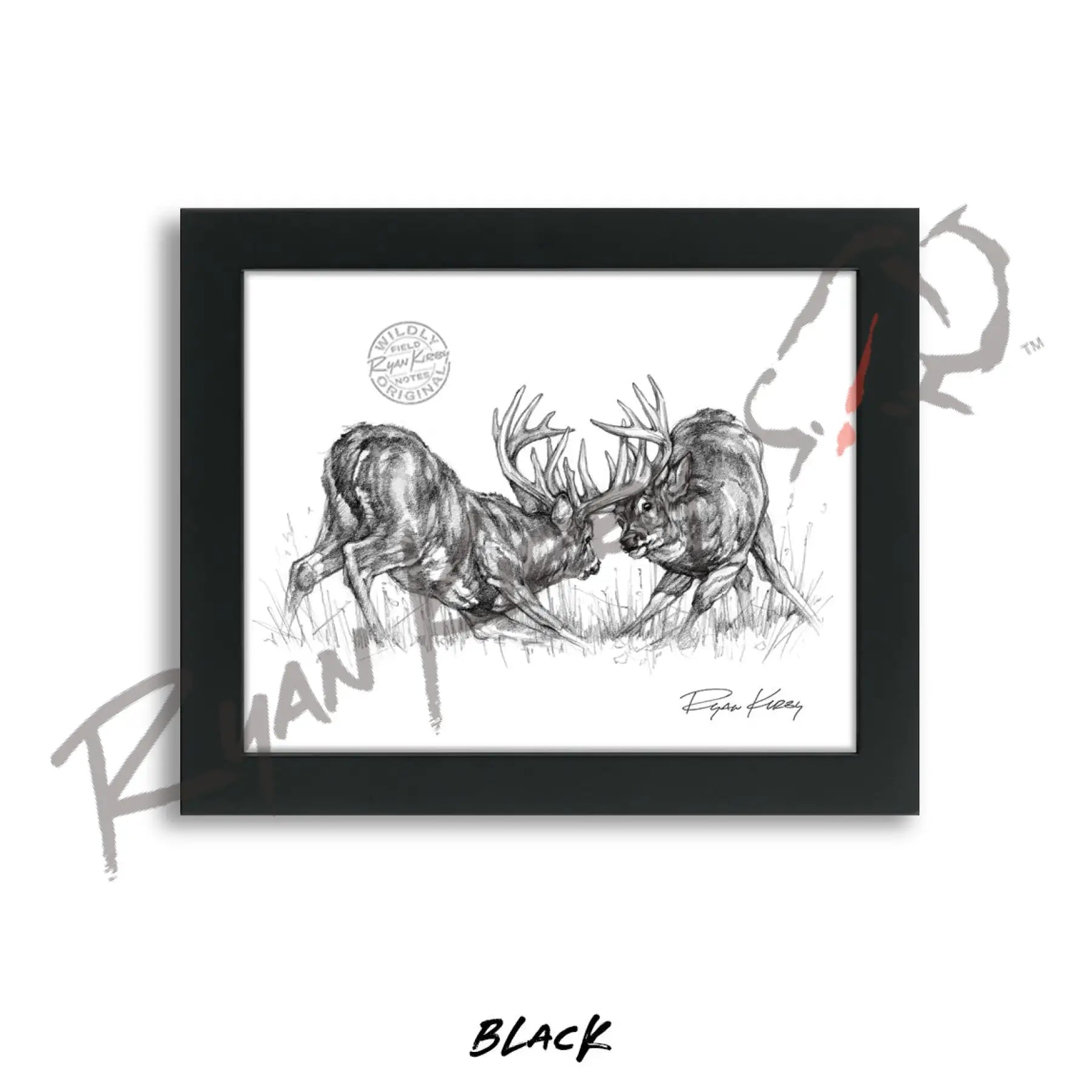 Fighting White-tailed Bucks Sketch Print Sketch Paper Print