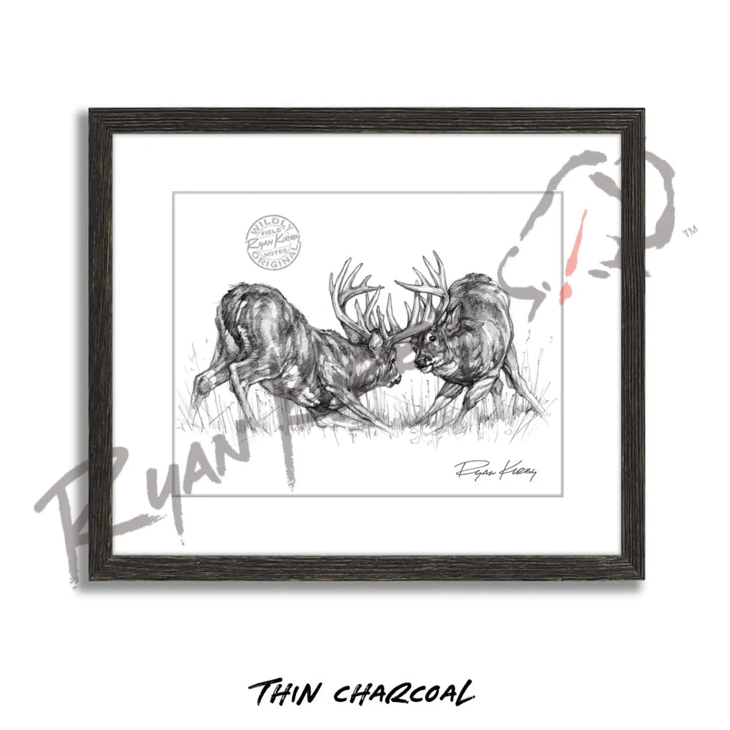 Fighting White-tailed Bucks Sketch Print Sketch Paper Print