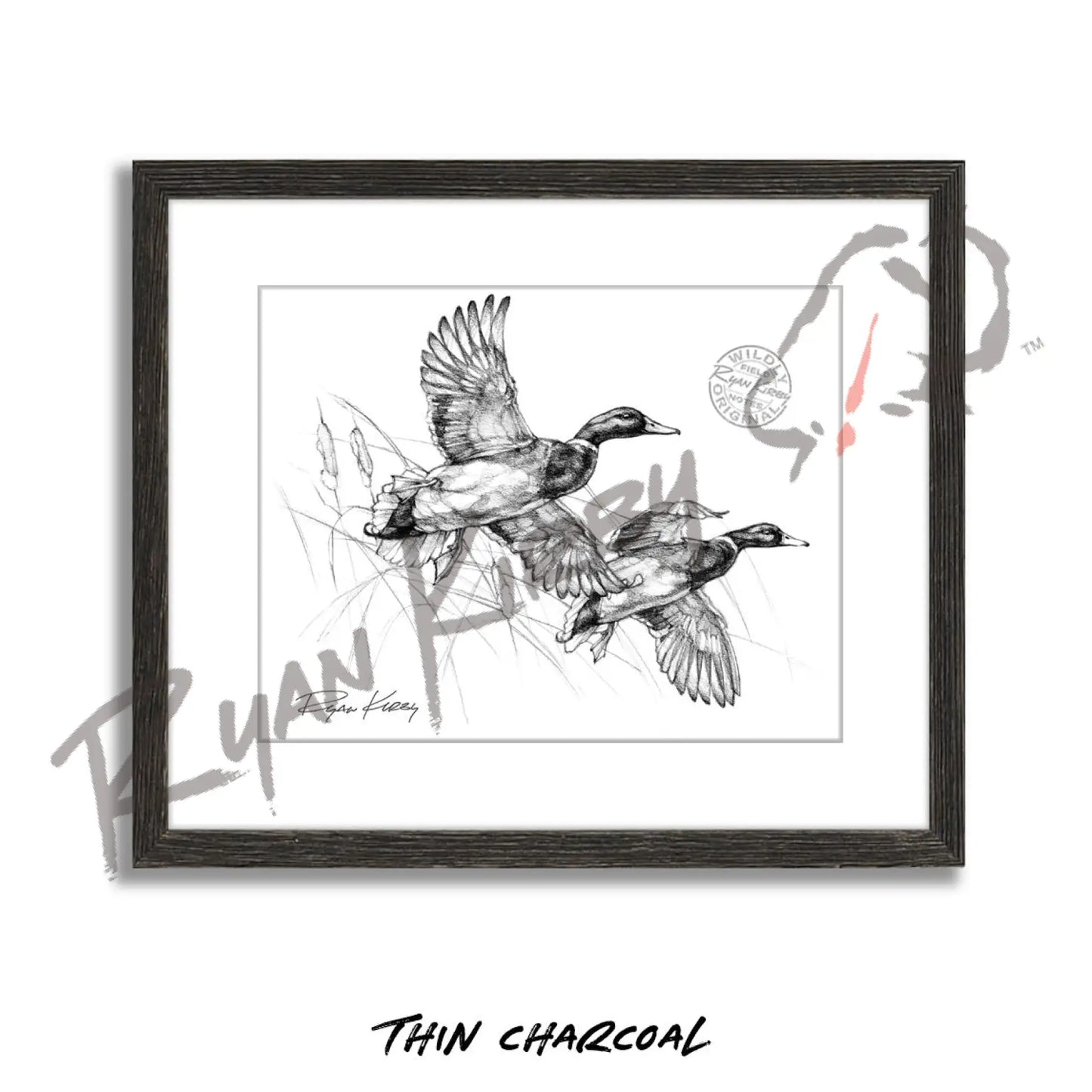 Flying Mallard Drakes Sketch Print Sketch Paper Print