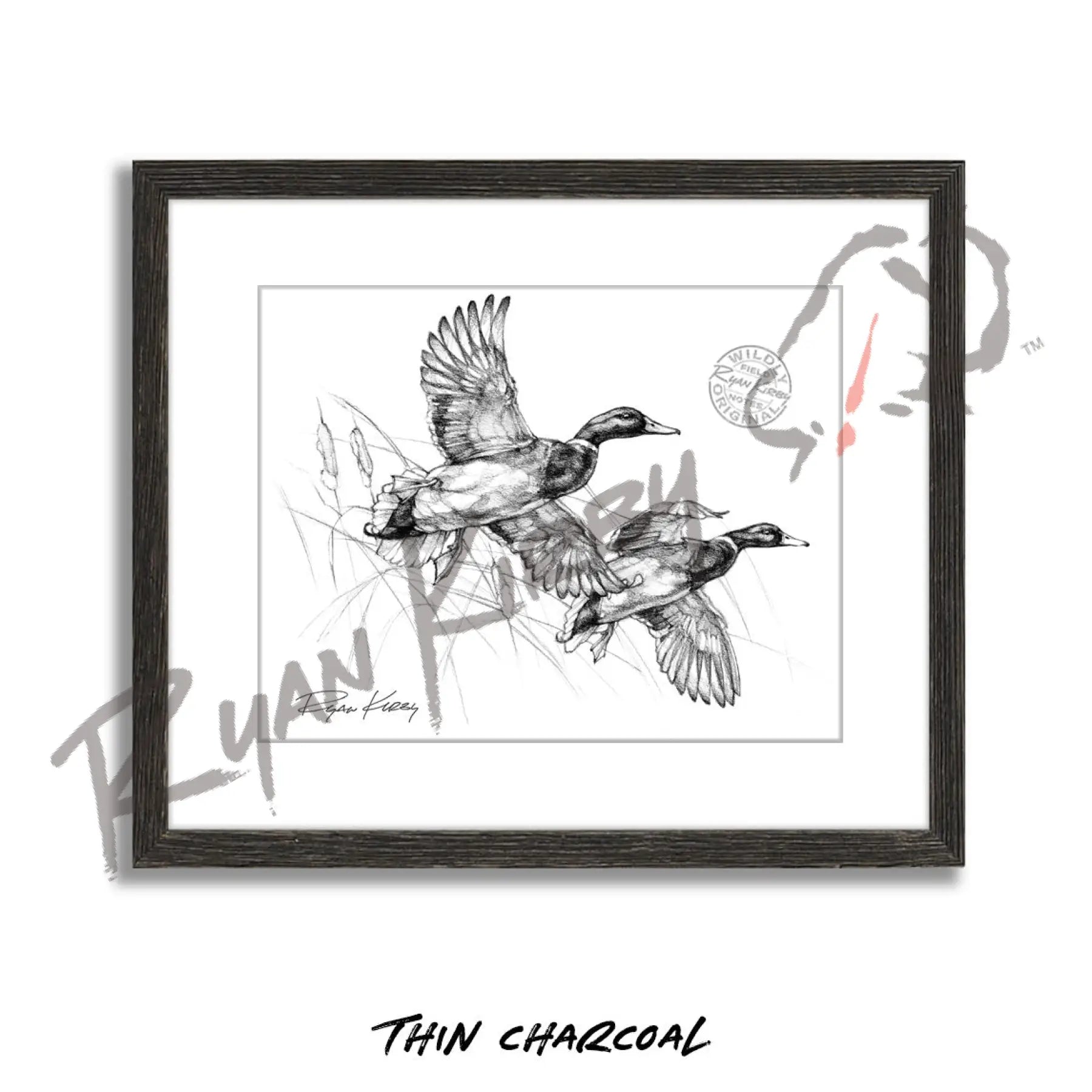 Flying Mallard Drakes Sketch Print Sketch Paper Print