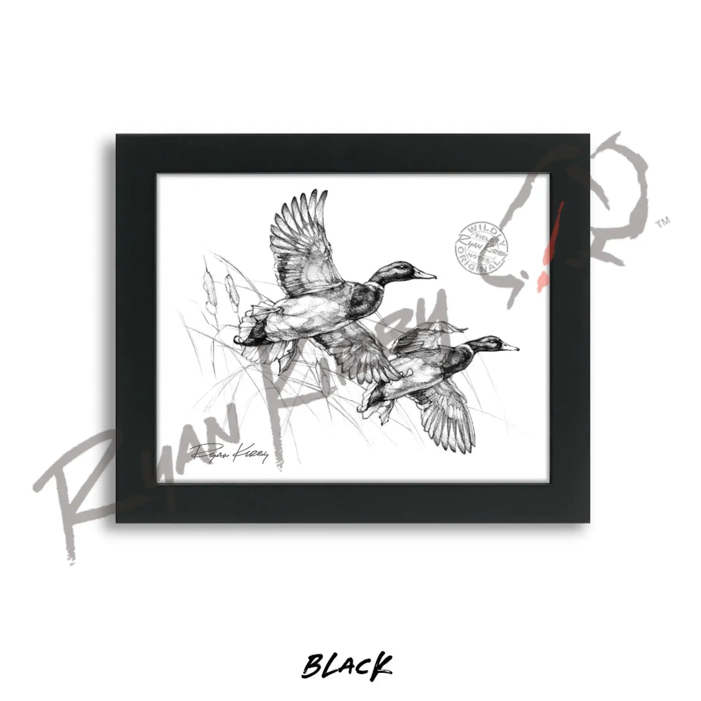 Flying Mallard Drakes Sketch Print Sketch Paper Print