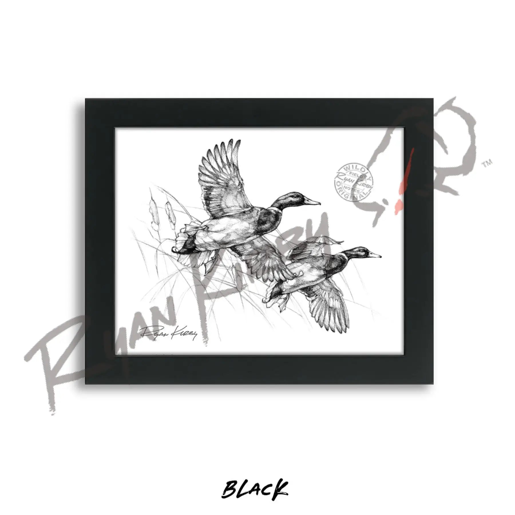 Flying Mallard Drakes Sketch Print Sketch Paper Print