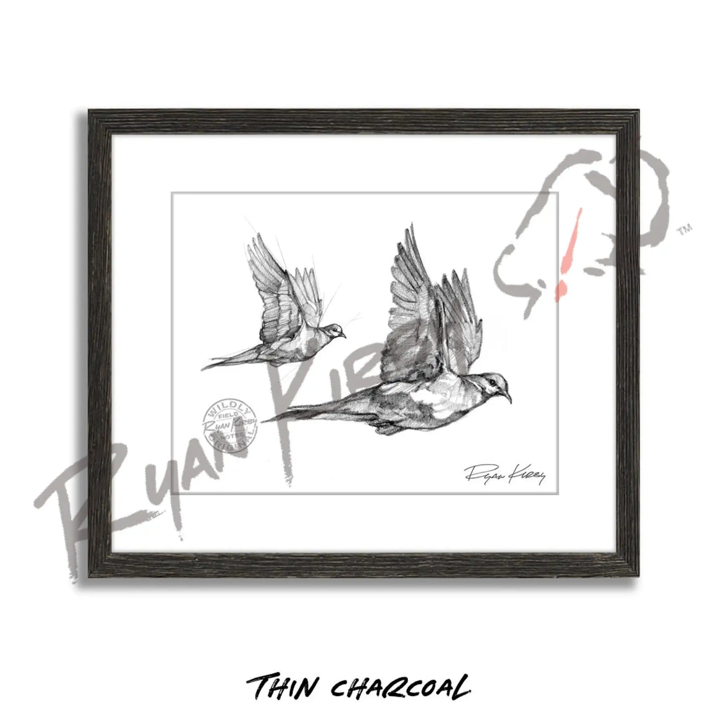 Flying Mourning Dove Sketch Print Sketch Paper Print