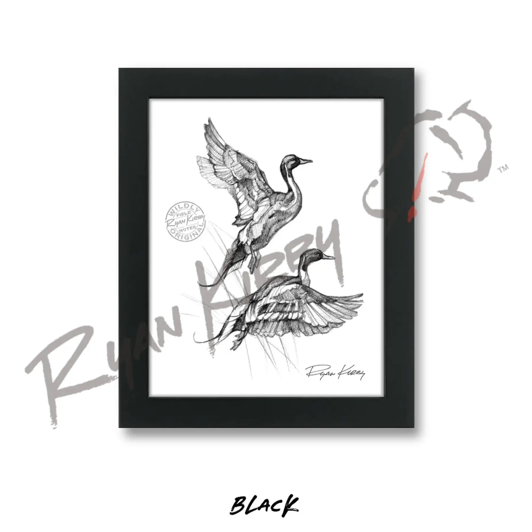 Flying Pintails Sketch Print Sketch Paper Print