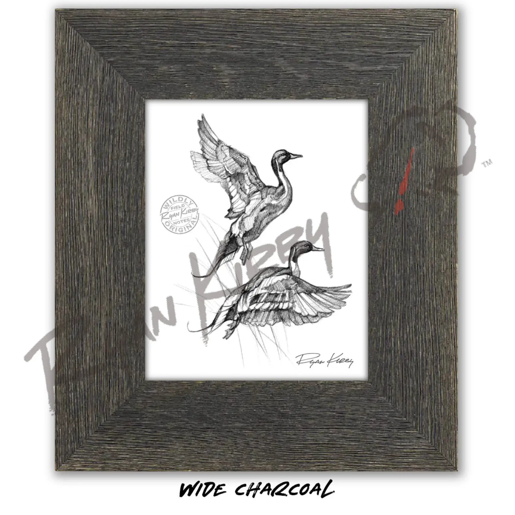 Flying Pintails Sketch Print Sketch Paper Print