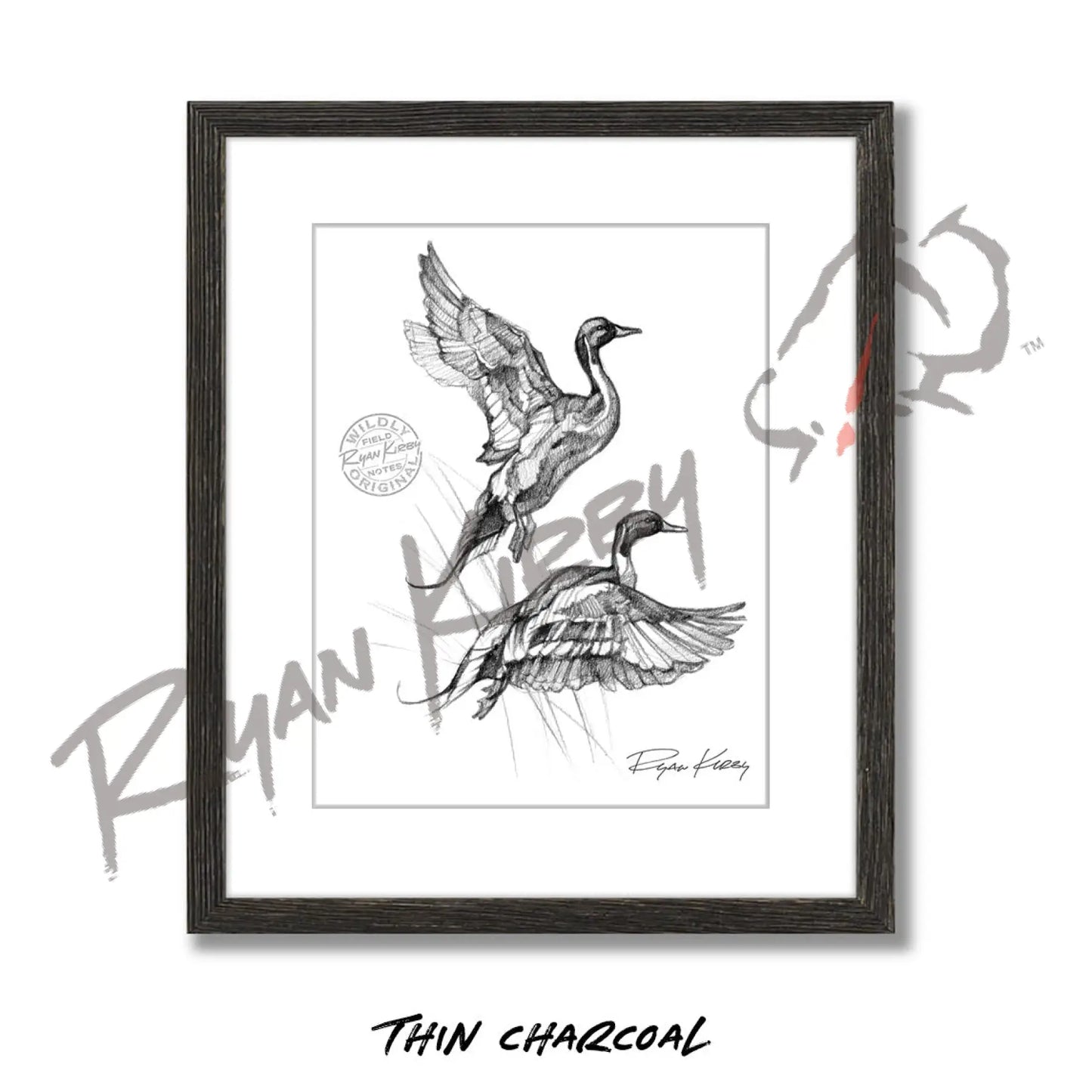 Flying Pintails Sketch Print Sketch Paper Print