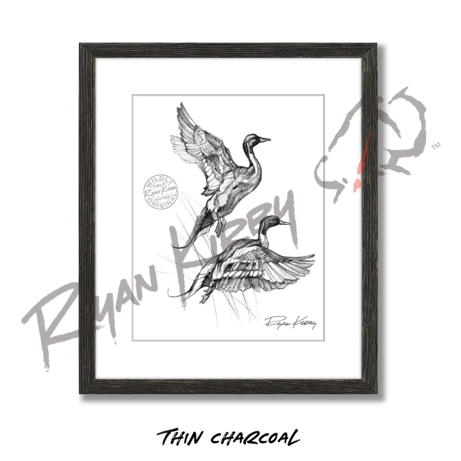 Flying Pintails Sketch Print Sketch Paper Print