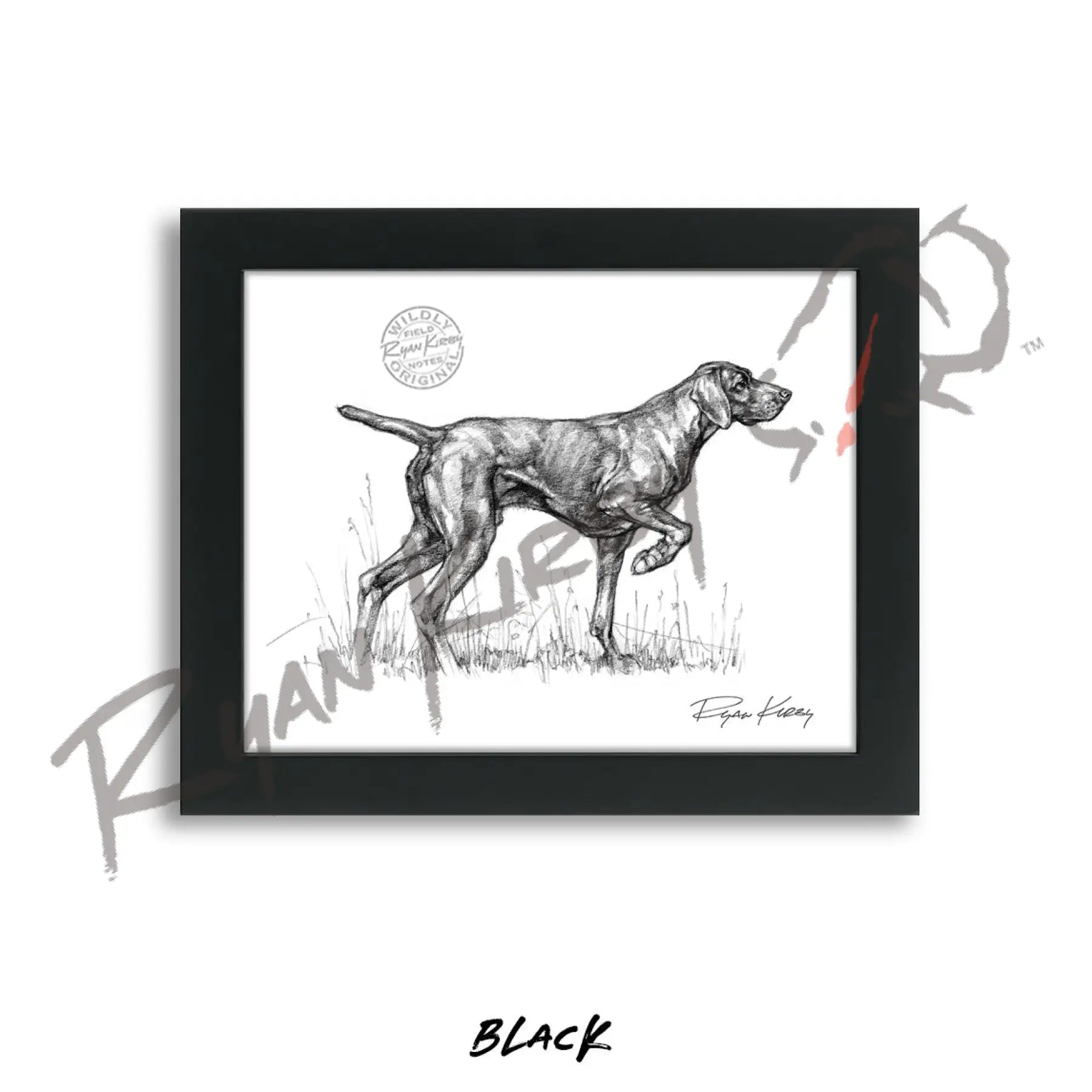 German Shorthaired Pointer Sketch Print Sketch Paper Print