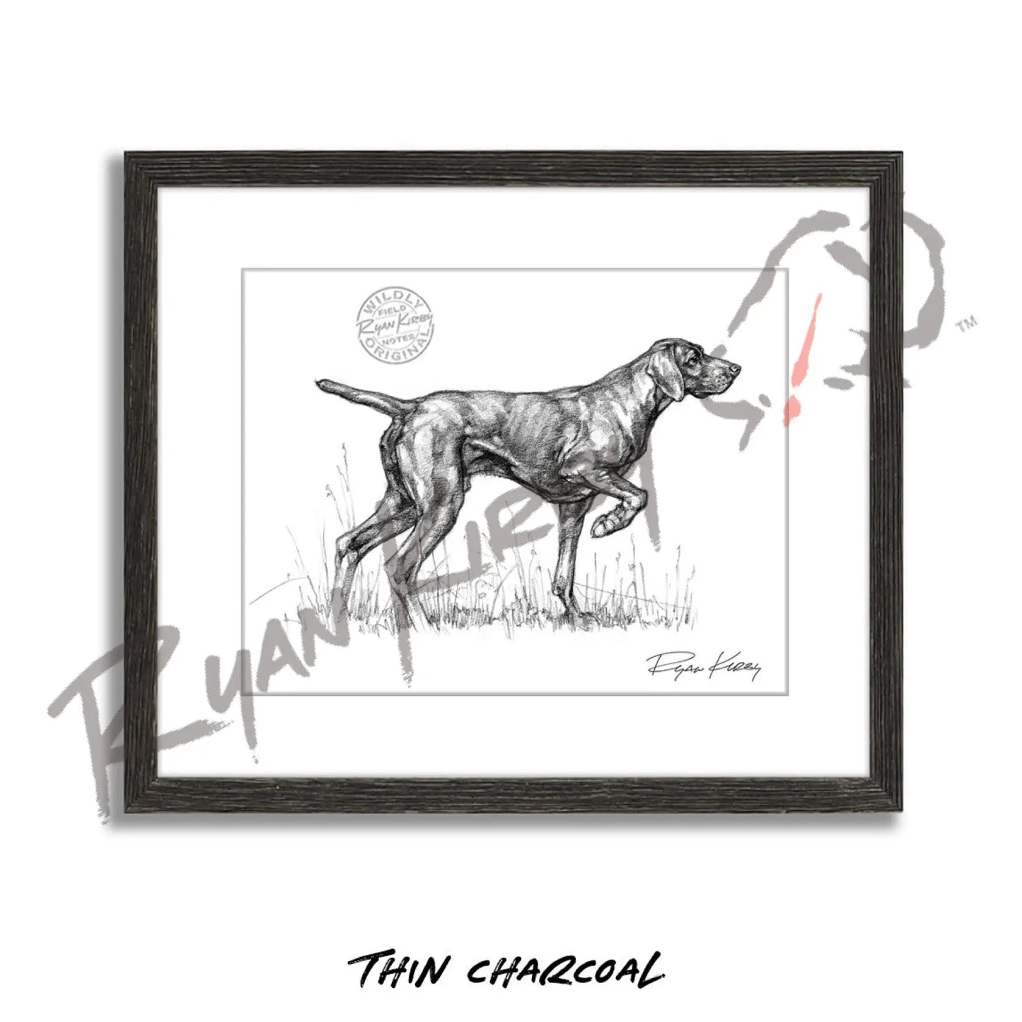 German Shorthaired Pointer Sketch Print Sketch Paper Print