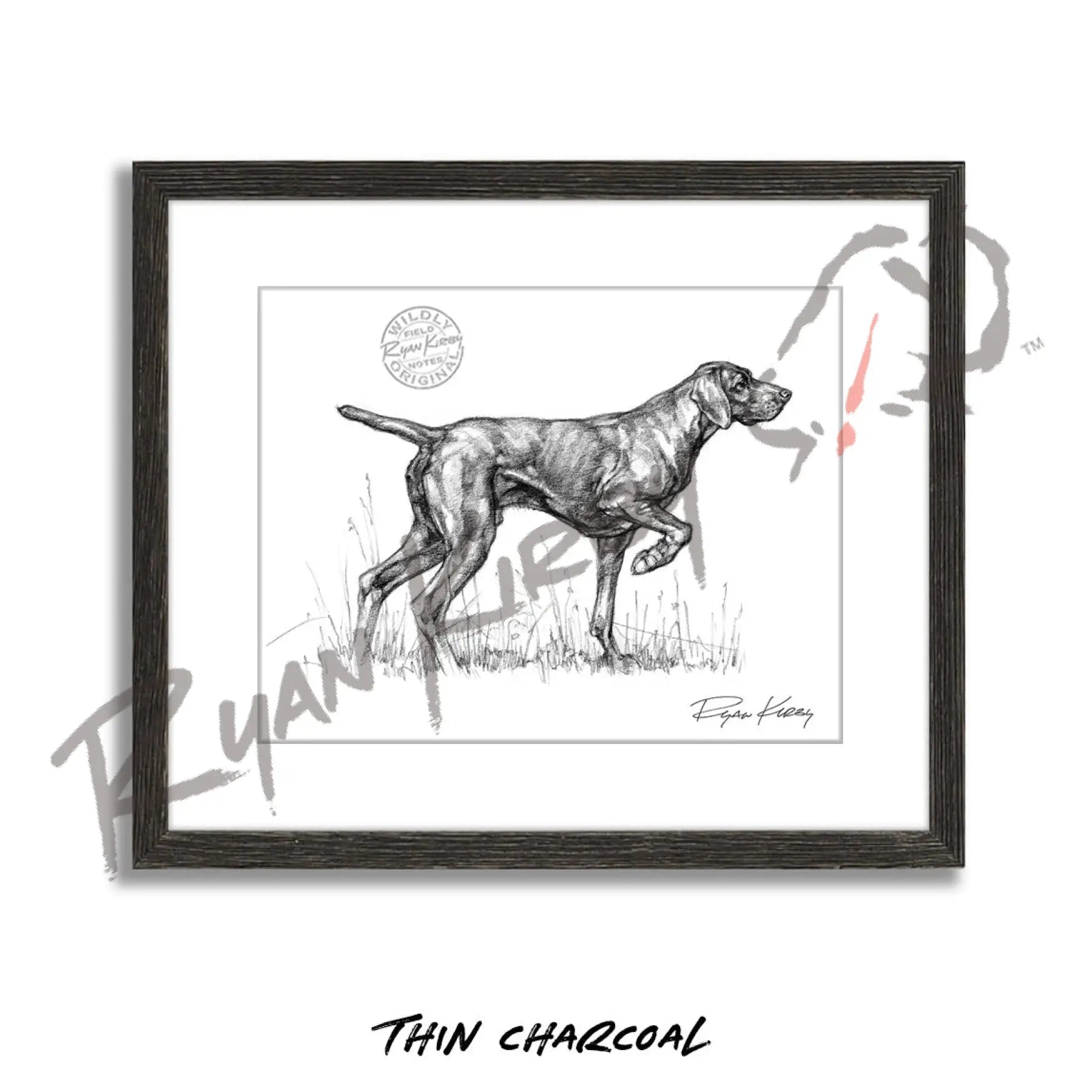 German Shorthaired Pointer Sketch Print Sketch Paper Print