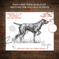 German Shorthaired Pointer Sketch Print Paper