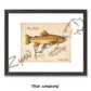 Gila Trout Fine Art Print - Sketch Paper Print
