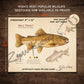 Gila Trout Fine Art Print - Sketch Paper Print