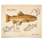 Gila Trout Fine Art Print - Sketch Paper Print