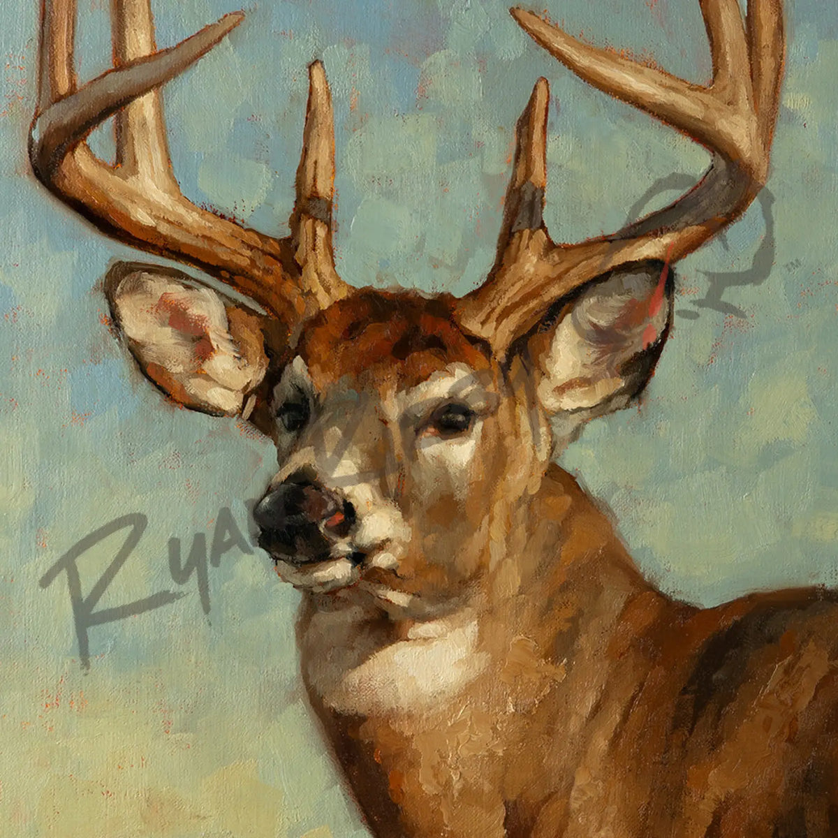 ’God Bless Texas’ Original White-tailed Deer Oil Painting - Original Oil Painting