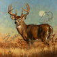 ’God Bless Texas’ Original White-tailed Deer Oil Painting - Original Oil Painting