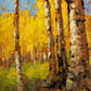 ’Gold Rush’ Aspen Landscape Original Oil Painting - Original Oil Painting