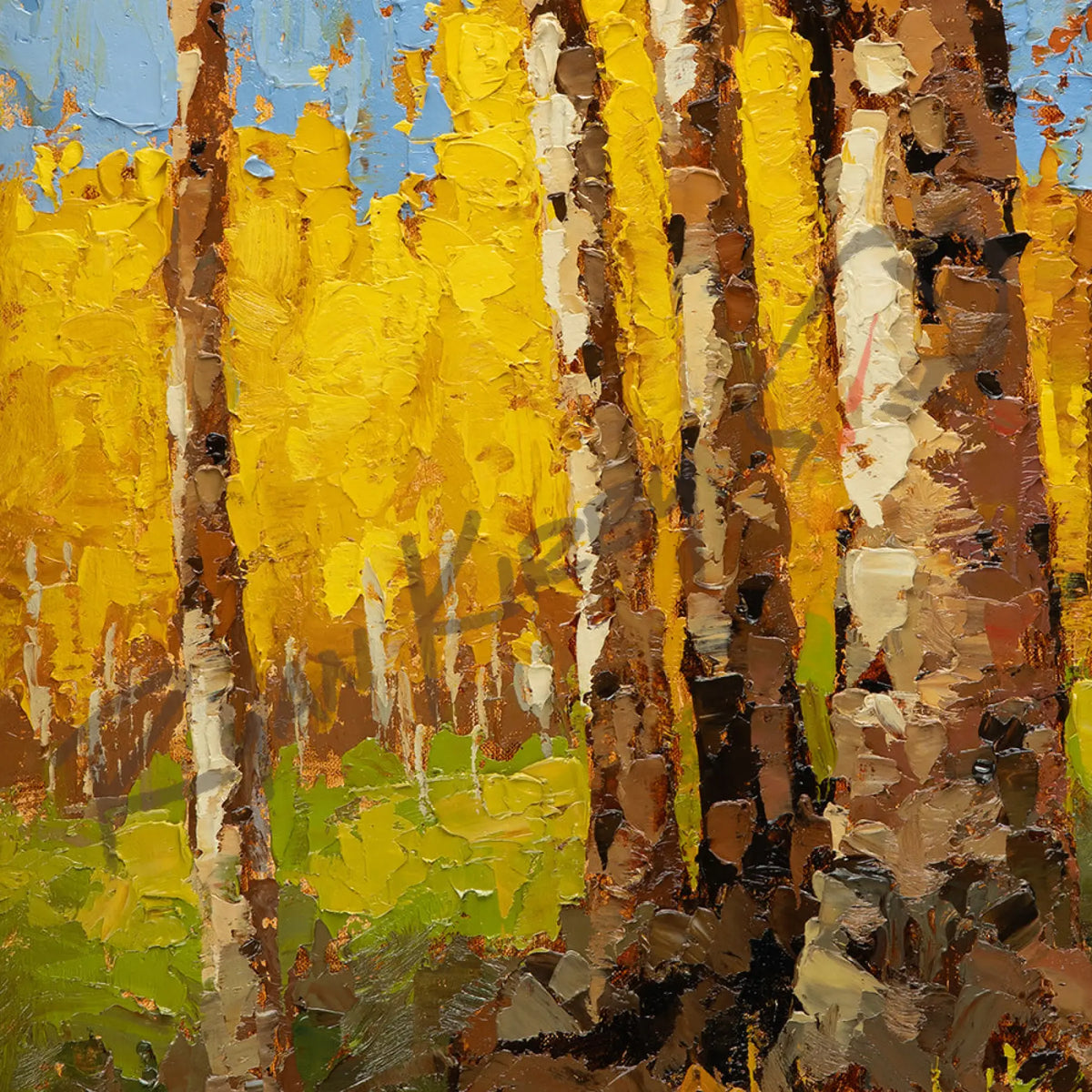 ’Gold Rush’ Aspen Landscape Original Oil Painting - Original Oil Painting