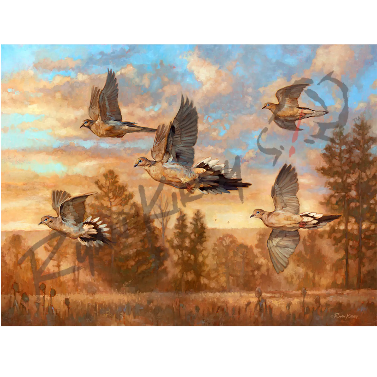 ’Golden Hour’ Flying Dove Canvas Art Print Unframed Rolled