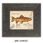 Golden Trout Fine Art Print - Sketch Paper Print