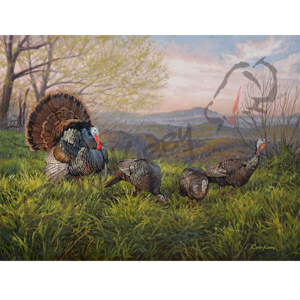 Grandfather Gobbler