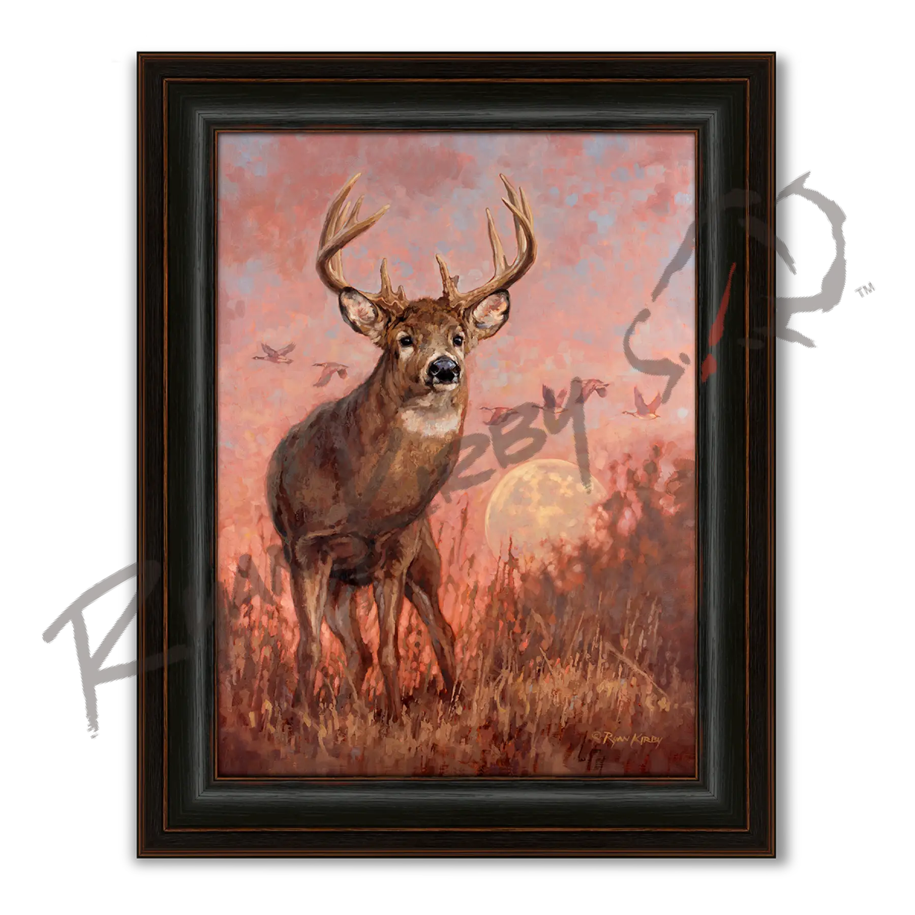 ’Harvest Time’ White-tailed Deer Canvas Art Print - Midnight Oak - Canvas Print