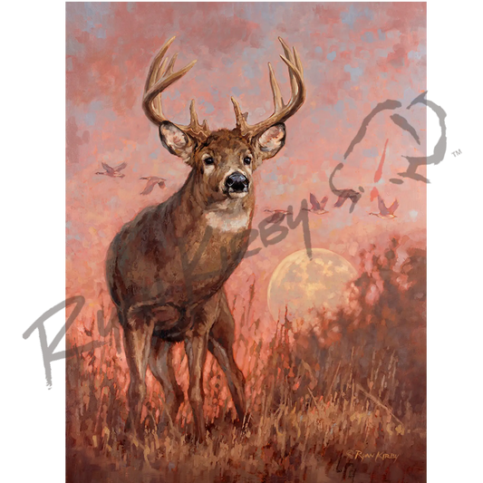 ’Harvest Time’ White-Tailed Deer Canvas Art Print Unframed Rolled