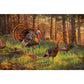 ’Homesteaders’ Rolled Artist Proof Canvas- Size 32 x 21.5- Needs to be mounted and framed Canvas Print