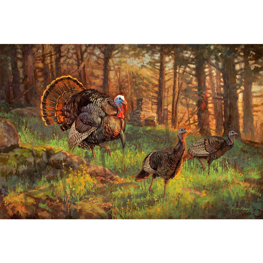 ’Homesteaders’ Rolled Artist Proof Canvas- Size 32 x 21.5- Needs to be mounted and framed Canvas Print