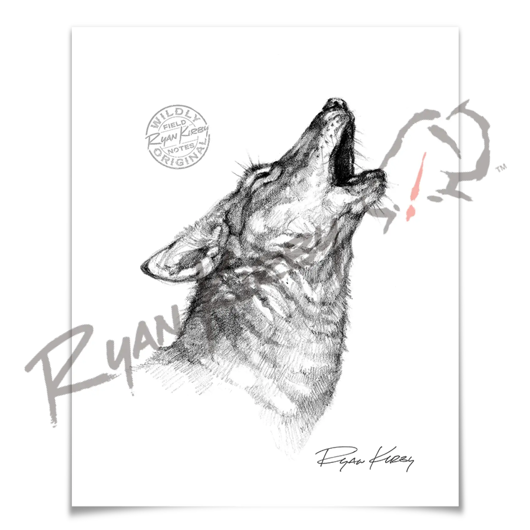 Howling Coyote Sketch Print Paper